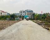 Bán đất Bạch Mai, Đồng Thái, An Dương hơn 60m giá chỉ 1,6x tỷ  LH 0979087664