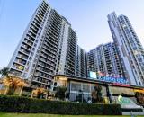Chính chủ gửi bán shophouse Jamila Khang Điền Quận 9 mặt chính gang 5.79m sổ hồng Giá TL