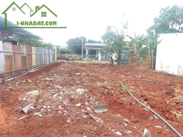 💥Lô TC 5*24,5m,Đường H,Trong Vành Đai,gần chợ,Gần Phạm Ngũ Lão,nhiều lô khác - 3