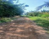CHÍNH CHỦ CẦN BÁN GẤP LÔ ĐẤT XÃ TÂN HỘI – H. TÂN CHÂU – TÂY NINH.