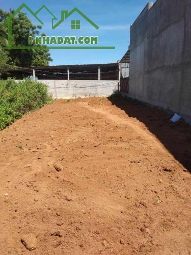 BÁN GẤP LÔ ĐẤT  JULL THỔ CƯ THUỘC MỸ ĐÔNG TẠI PHAN RANG TỈNH KHÁNH HÒA - 1