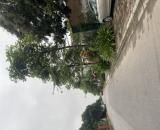 ❇️MẢNH ĐẤT TIÊU CHUẨN - LÔ GÓC 2 MẶT THOÁNG - Ô TÔ - NGÕ THÔNG - NAM HỒNG - ĐÔNG ANH❇️