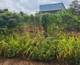 Đất 8.8 sào Xà Bang Châu Đức – có nhà sẵn, mặt tiền lớn, gần trục Láng Lớn