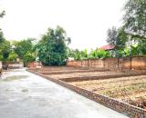 Chính chủ bán đất Đan Tảo, Tân Minh 83m Full thổ cư MT 6,5m giá ô tô đỗ cửa nhỉnh 1,5 tỷ
