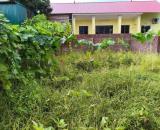 Đất Bắc Hồng 90m2, mt8.7m, ngõ VF3, 4.9 tỷ, Đông Anh.