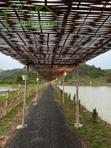 Bán Đất Đang Kinh Doanh Dịch Vụ Chân Đồi Ấp Bàu Chim, Xã Phú Xuân, Huyện Tân Phú, Đồng Nai - 5