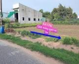 CẦN RA ĐI LÔ ĐẤT 130M2 MT ĐƯỜNG NHỰA 6M SHR CHỈ 480TR