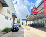 XT314 nhà xưởng hiện đại, kết cấu kiên cố thu hút đầu tư SX đa dạng ngành nghề