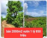 HẠ GIÁ TỪ 2.6 TỶ XUỐNG BÁN 1 tỷ 850 triệu - 2 sào đất vườn tổ 32 liên nghĩa-đức trọng
