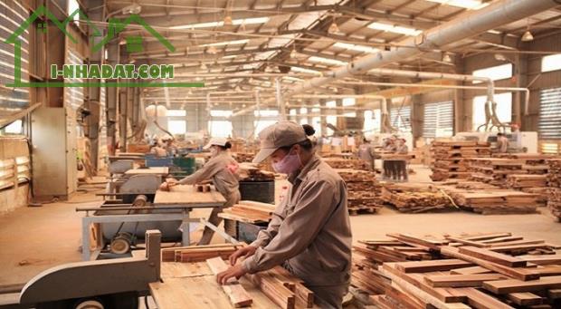 BÁN KHO, NHÀ XƯỞNG TRẢNG DÀI, SỔ HỒNG RIÊNG MẶT TIỀN ĐƯỜNG 768B - 2