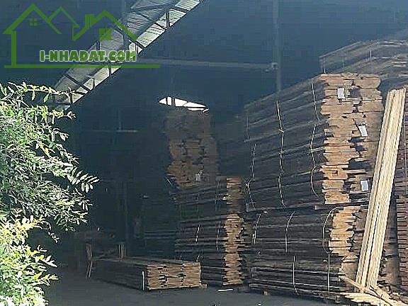 BÁN KHO, NHÀ XƯỞNG TRẢNG DÀI, SỔ HỒNG RIÊNG MẶT TIỀN ĐƯỜNG 768B - 5