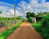 BÁN ĐẤT THỔ CƯ BIỂN HỒ - PLEIKU