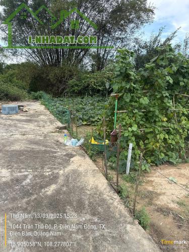 CHỦ KẸT TIỀN CẦN BÁN GẤP 9 LÔ LIỀN LỀ GIÁ 11,5TY THƯƠNG LƯỢNG - 2