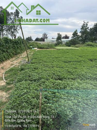 CHỦ KẸT TIỀN CẦN BÁN GẤP 9 LÔ LIỀN LỀ GIÁ 11,5TY THƯƠNG LƯỢNG - 3