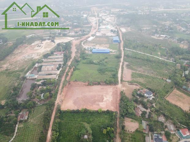 Bán lô 10.000m2 đất rừng sản xuất tại Hướng Đạo, Tam Dương lh_0987673102