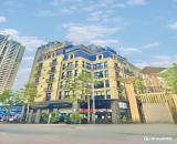 Bán nhà lô góc 2 MP Nguyễn Thanh Bình Phan Kế Toại KĐT The Terra An Hưng Hà Đông DT 318m2.