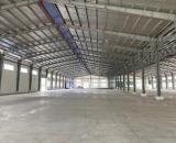 Cho Thuê 8.000m2 Nhà Xưởng Trong KCN TP Mới  Bình Dương PCCC Tự Động
