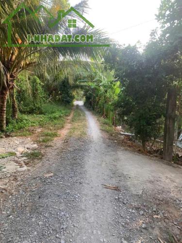 Kẹt Vốn Bán Đất Vườn Sầu Riêng Thái Cây Đang Cho Thu Hoạch (4 năm) Tại Thị trấn Long Hồ,