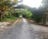 Kẹt Vốn Bán Đất Vườn Sầu Riêng Thái Cây Đang Cho Thu Hoạch (4 năm) Tại Thị trấn Long Hồ,