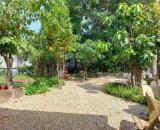 💥CHỦ GỬI LÔ ĐẤT HÀ HUY GIÁP 200M2 FULL THỔ CƯ HXH 500M QUA GÒ VẤP 7 TỶ TL 💥