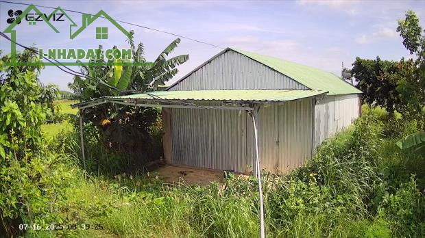 ► CHO THUÊ NHÀ & ĐẤT DIỆN TÍCH LỚN – GIÁ RẤT TỐT. - 1