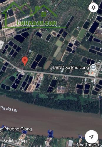 Cần Bán Đất Vườn Dừa 5.068 m² Gần UBND Xã Phú Long, Huyện Bình Đại – Bến Tre Cũ - 4