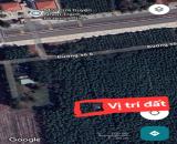 🌿 Long Tân – “Trái tim vàng” của chuỗi đô thị vệ tinh phía Đông TP.HCM