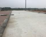 Bán đất chia lô khu đấu giá cao dương 50m sổ đỏ chính chủ.