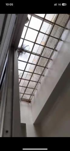 Cho Thuê Nhà F361 An Dương, Tây Hồ: 60m2 x 5T, Full đồ 18 tr/th, Phân Lô, Ô Tô Tránh - 5