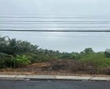 Chính Chủ Cần Bán Lô Đất 470m2 Có Vi trí đẹp Tại Xã Tân Mỹ Chánh - Tp.Mỹ Tho - Tiền