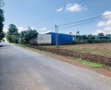CẦN SANG LẠI 3600M2 ĐẤT TPHCM (SHR) DÂN CƯ SAN SÁT GẦN CHỢ TRUNG TÂM GIÁ 1 TỶ 250 TRIỆU