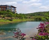 Bán lô đất nghỉ dưỡng view hồ tự nhiên ở Khúc Thừa Dụ, Bảo Lâm, Lâm Đồng, giá tốt 880 triệ