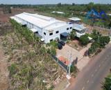 X368_Bán đất và nhà xưởng tại Huyện Thống Nhất Đồng Nai diện tích 3050m2 giá chỉ 19.5 tỷ