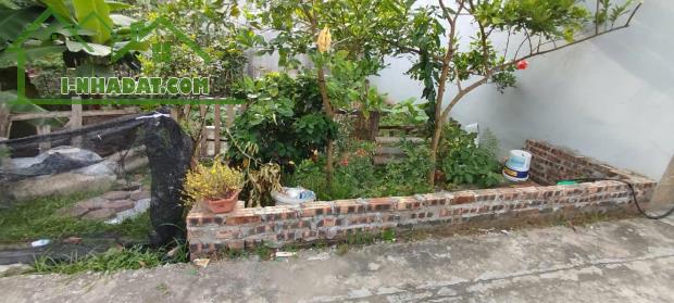 Đản Dị_ Uy Nỗ_ Đông Anh_ DT 44M²_ MT 4M _ Đường Thông Ô Tô Tận Nơi - 2