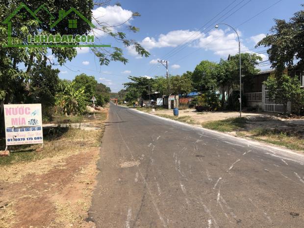 (NGƯỜI THẬT VIỆC THẬT) 5X40=200M2 SHR, THỔ CƯ, ĐƯỜNG BETONG 5M, SÁT CHỢ GIÁ 290TR - 1