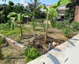 Bán đất thị trấn ,tại thuận thành,bắc ninh