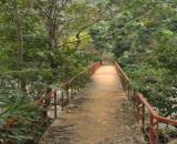 HOMESTAY GIỮA RỪNG THÔNG – CÓ SUỐI, CÓ VƯỜN, CÓ TÌNH - Dran – Đơn Dương