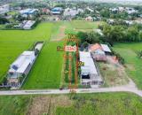 🌾 BÁN LÔ ĐẤT LÚA GIÁ TỐT - CÓ THỂ LÊN FULL THỔ CƯ