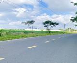 BÁN ĐẤT MT ĐƯỜNG NHỰA 1125M2 SHR NGAY KHU CÔNG NGHIỆP ĐÔNG CÔNG NHÂN. GIÁ 890TR