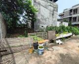 Đất Nguyên Khê(cũ), Phúc Thịnh, 49m2, mt7.6m, 3.6 tỷ, ô tô.