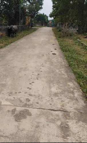 CHÍNH CHỦ BÁN LÔ ĐẤT ĐẸP – XÓM 21, NGHI VĂN, NGHI LỘC – NGHỆ AN - 1