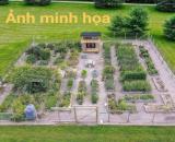 CƠ HỘI SỞ HỮU LÔ ĐẤT ĐẸP GẦN ĐƯỜNG VÀNH ĐAI – GIÁ CHỈ 10 TRIỆU/M2
