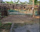 BÁN ĐẤT SAU LƯNG UBND HÒA SƠN - HÒA VANG– GIÁ RẺ, DIỆN TÍCH LỚN