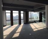 Cho thuê Văn phòng tòa 36 Hoàng Cầu, Đống Đa, HN DT: 50 - 55 - 115m2