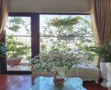 Cho thuê căn chung cư Đồng Phát, diện tích 80m2, 2 ngủ, 10 Triệu