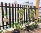 HẺM XE HƠI KHU KINH DOANH, SẴN DÒNG TIỀN CHO THUÊ 19TR/THÁNG, LÔ GÓC 2 MẶT HẺM._nhỉnh_8_tỷ