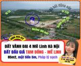 ĐẤT ĐẤU GIÁ Tam Đồng Mê Linh  Hà Nội, cam kết bán đúng giá chủ thu, đất vành đai 4 Mê Linh
