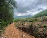 bán đất view Hồ giá chỉ 950tr rộng 1,4 hecta xã Diên Tân, Diên Khánh cách Nha Trang 35p