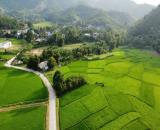 chuyển nhượng mảnh đất view cánh đồng siêu đẹp tại Cao Sơn Lương Sơn Hòa Bình