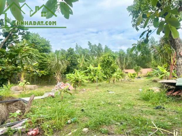 Cần bán khu vườn nghĩ dưỡng 💵💵 giá: 3.TỶ.2 DT: 1.127m2 (hơn 1.Xào) sổ hồng - 1